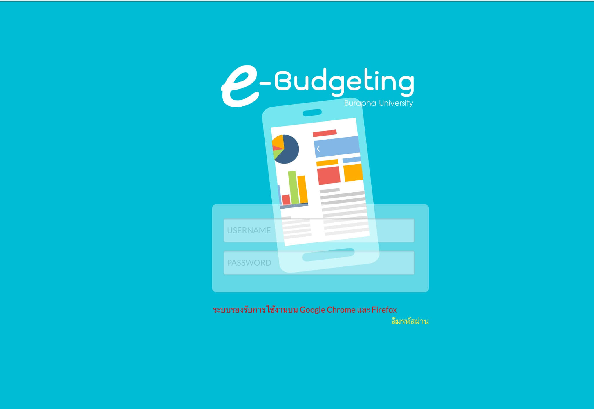 e budgeting